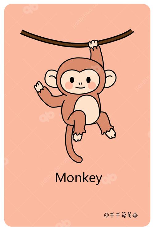 猴子的英文
